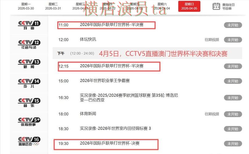 世界杯直播背景下的世界杯投注平台解析与真实体验